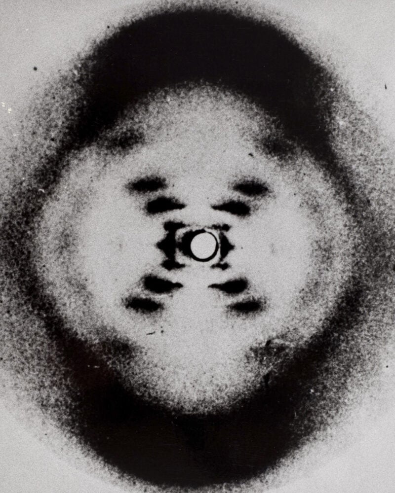 Juno Las Dos Hebras C41magazine Photography 21