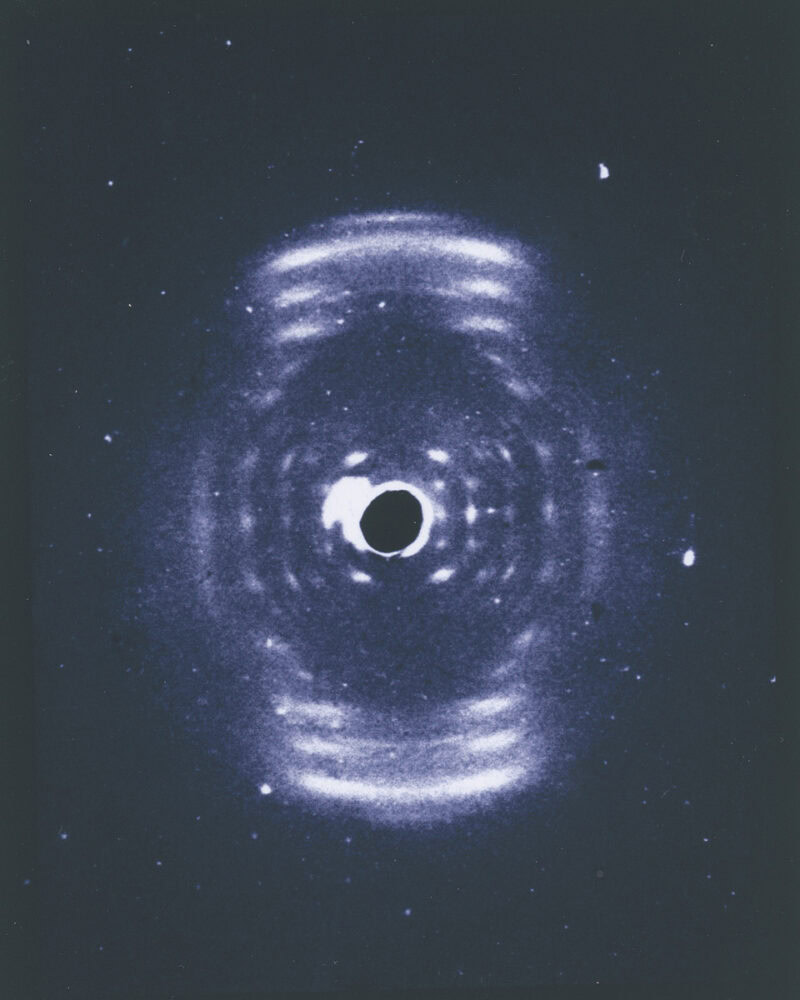 Juno Las Dos Hebras C41magazine Photography 30