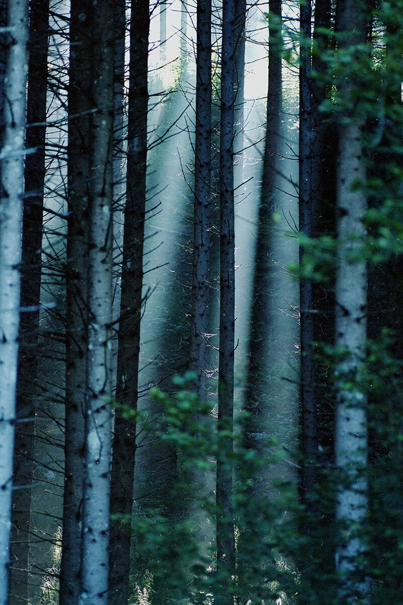 Emma Hartvig Bodies, Landscapes And Desire C41magazine Photography 14