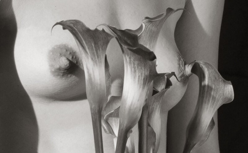 Emma Hartvig Bodies, Landscapes And Desire C41magazine Photography 15