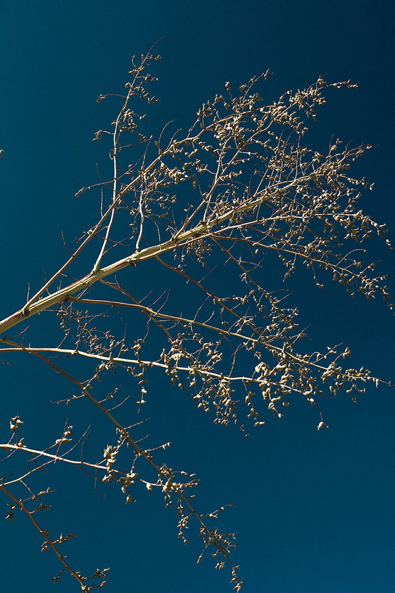 Emma Hartvig Bodies, Landscapes And Desire C41magazine Photography 9