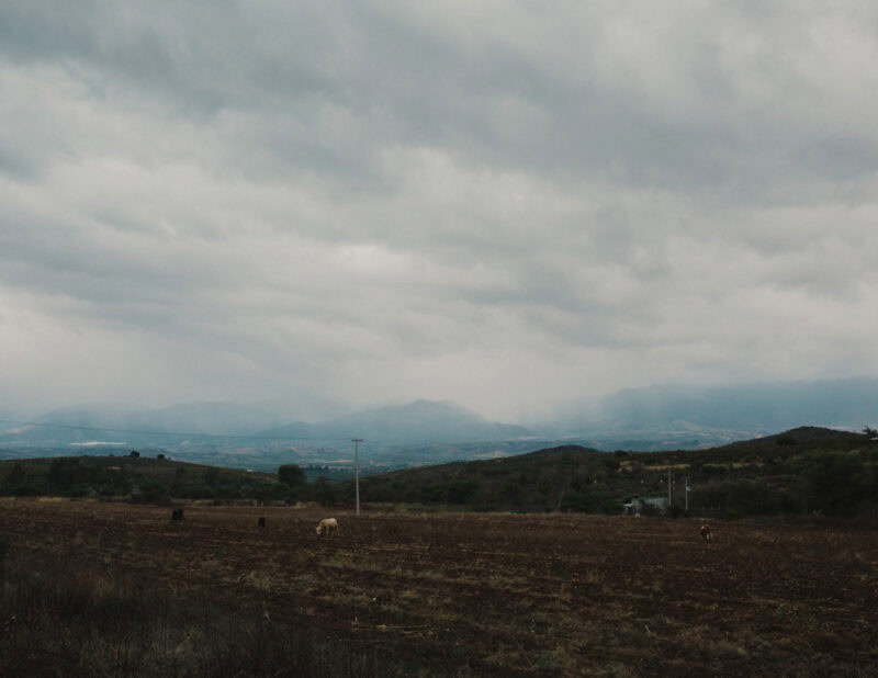 La Presa