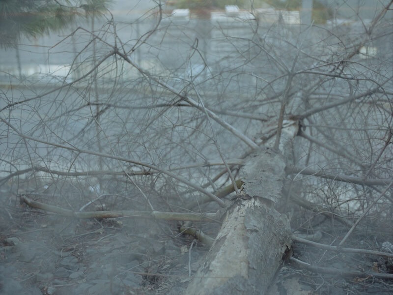 Andrea Mato En Limbo C41magazine Photography 15