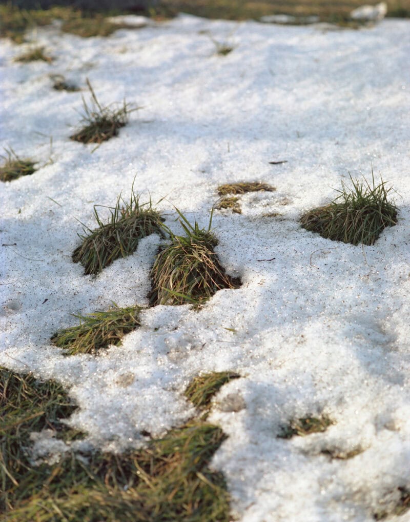 Andrea Mato En Limbo C41magazine Photography 18