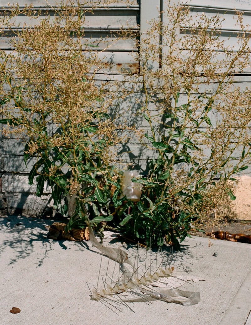 Andrea Mato En Limbo C41magazine Photography 3