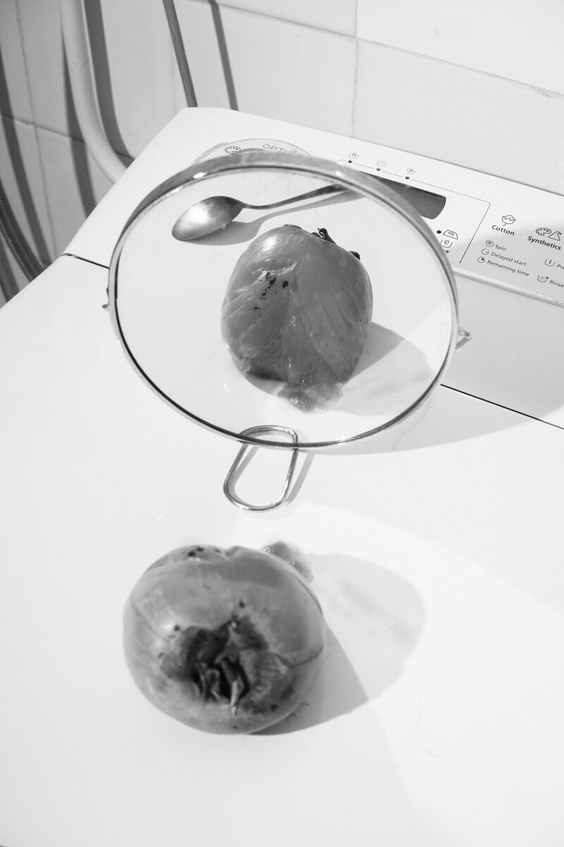 Dafni Melidou The Fossils, The Ashes And Other Remains Of Existence C41magazine Photography 10