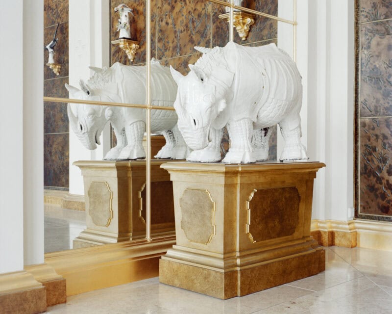 Dresden Rhino
