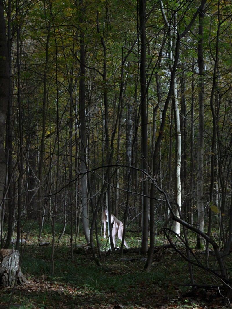 Irina Shkoda Miserere C41magazine Photography 6