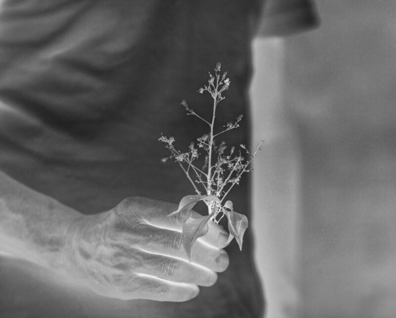 Jiaxin Liang Under The Lychee Tree C41magazine Photography 11