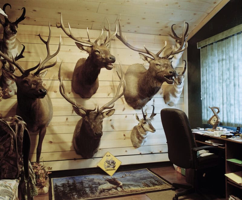 Stranger Than Fiction