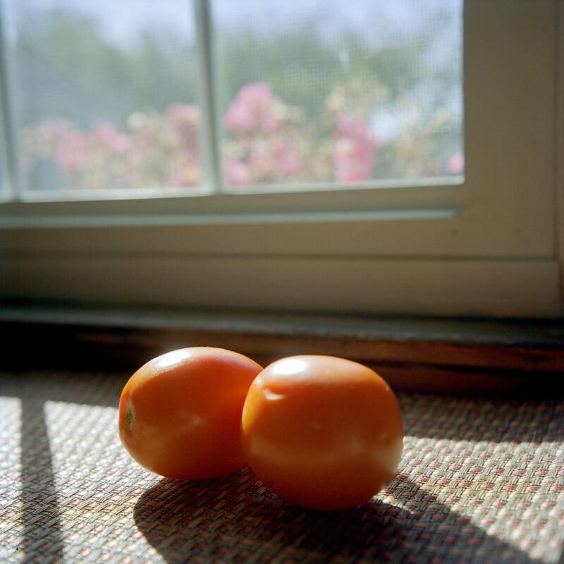 Kristen Bartley Dear Mom C41magazine Photography 12