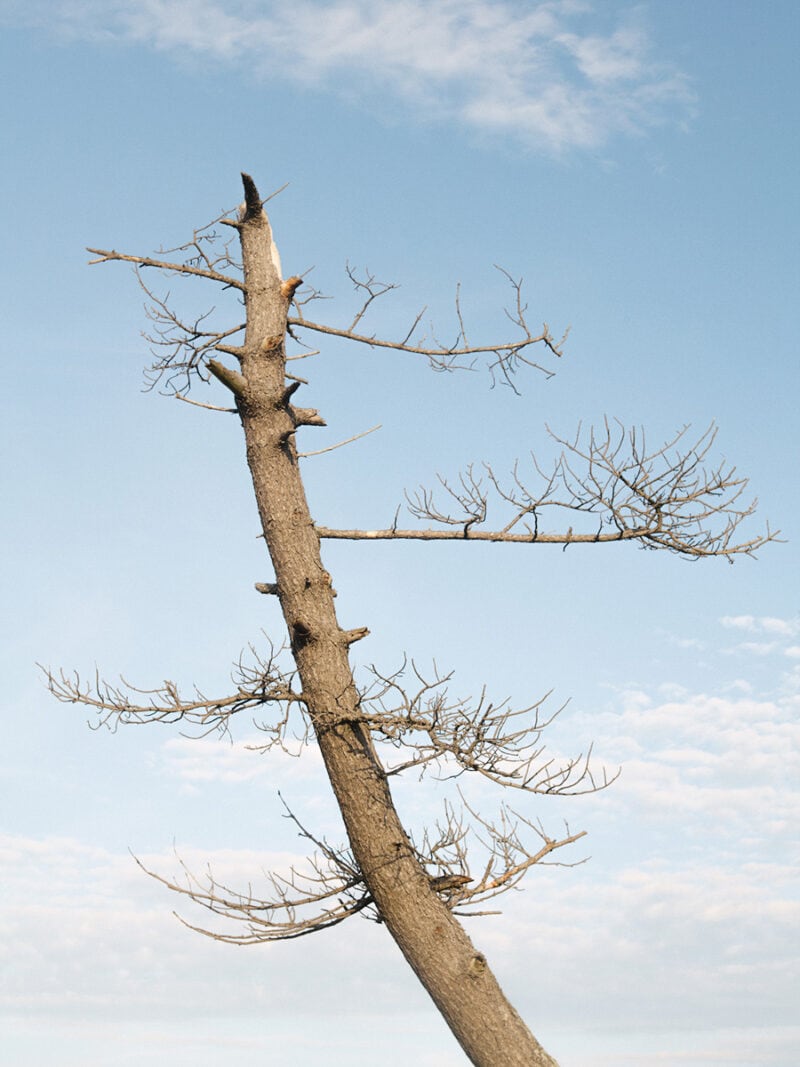 Kristen Bartley Dear Mom C41magazine Photography 3