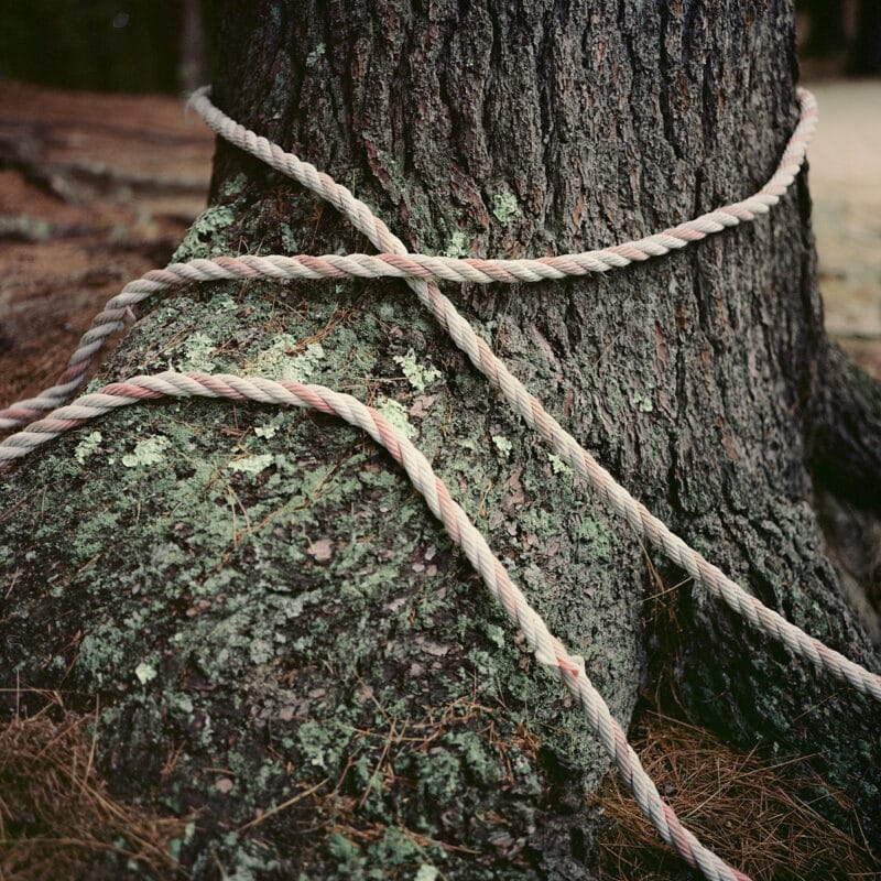 Kristen Bartley Dear Mom C41magazine Photography 9