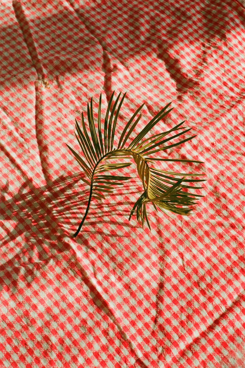 Ksenia Mikhailova Pretend You Are Home C41magazine Photography 1