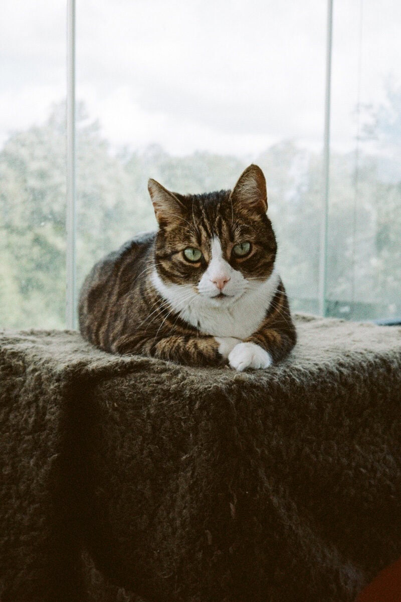 Ksenia Mikhailova Pretend You Are Home C41magazine Photography 5
