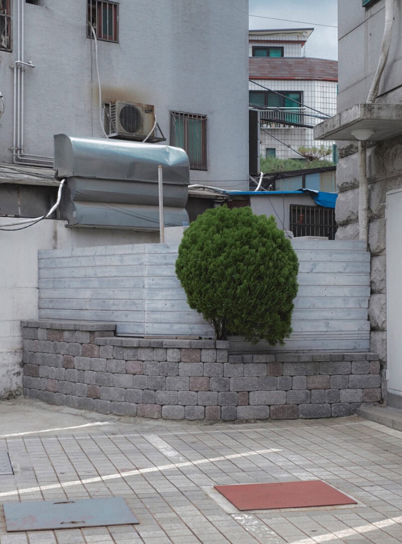 Sunik Kim Garden C41magazine Photography 10