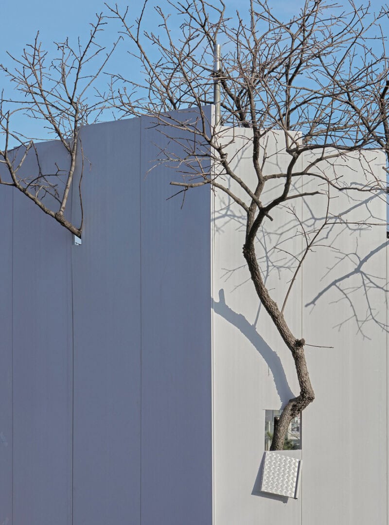 Sunik Kim Garden C41magazine Photography 25