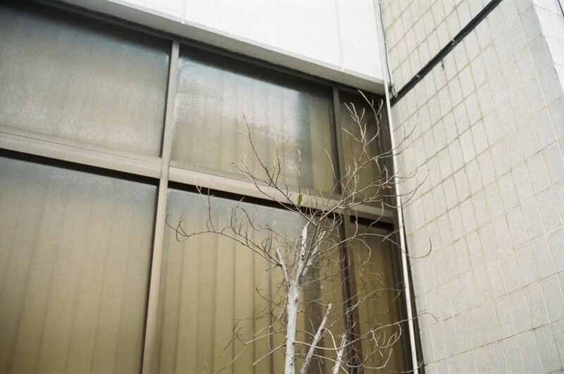 Wishnu Mahaprana LIKEWISE C41magazine Photography 6