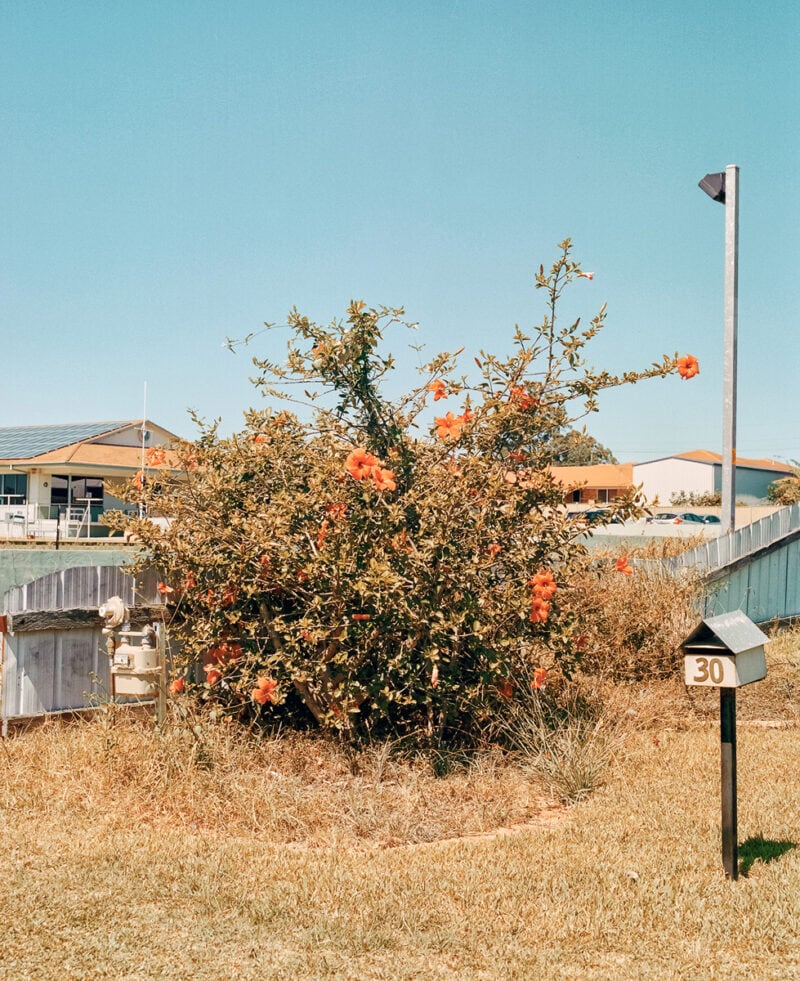 Dylan Pf Odd World C41magazine Photography 17