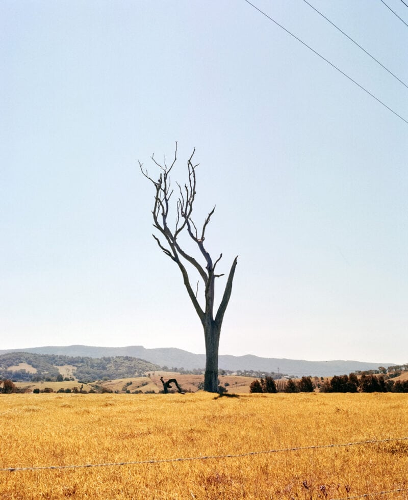 Dylan Pf Odd World C41magazine Photography 19