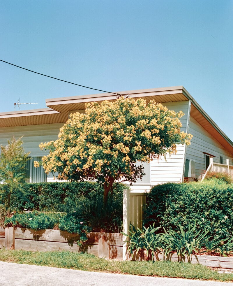 Dylan Pf Odd World C41magazine Photography 4