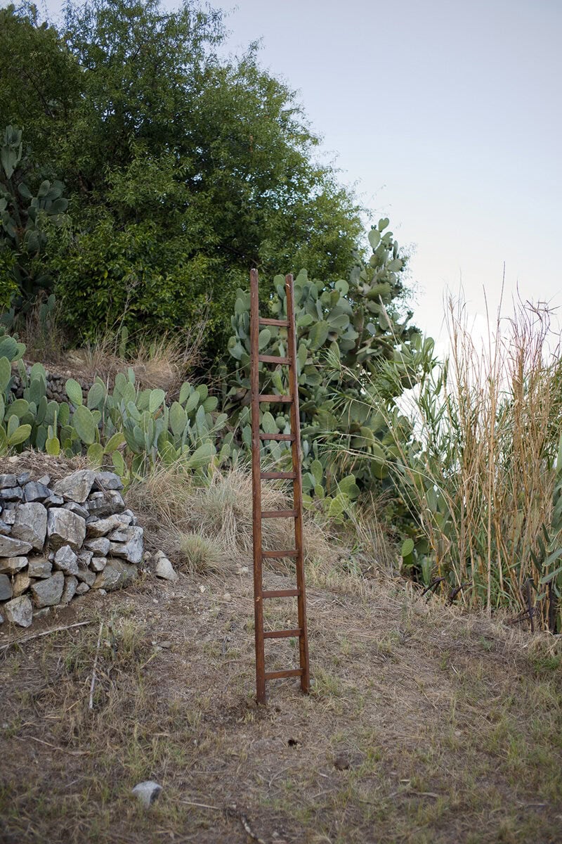 Federica Cocciro Wild Strawberries C41magazine Photography 10