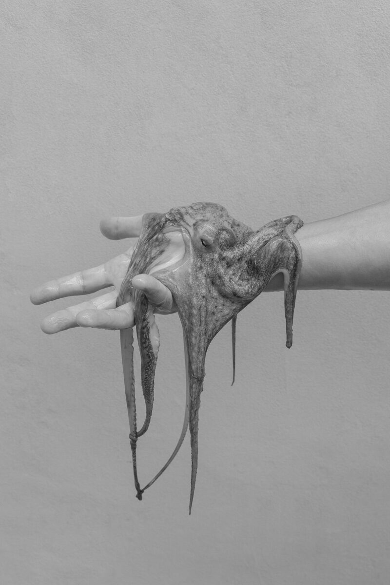 Federica Cocciro Wild Strawberries C41magazine Photography 4