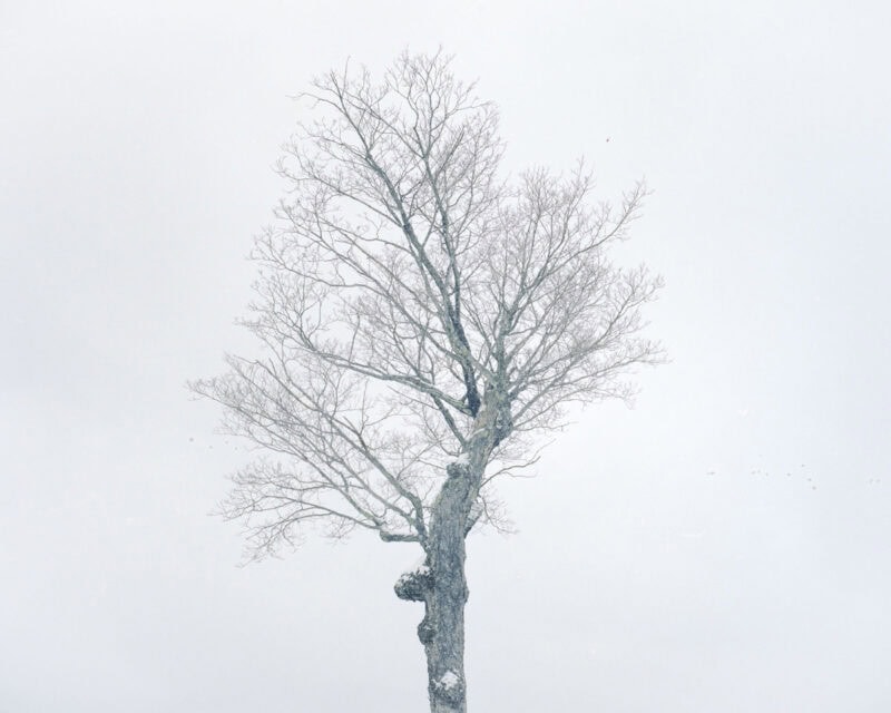 Gleb Simonov True White C41mgazine Photography 6