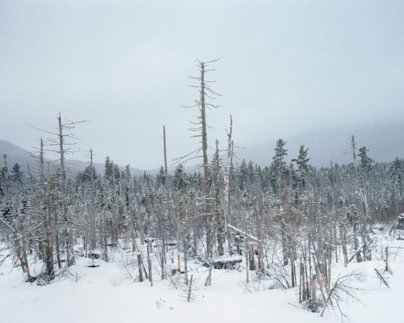 Gleb Simonov True White C41mgazine Photography 8