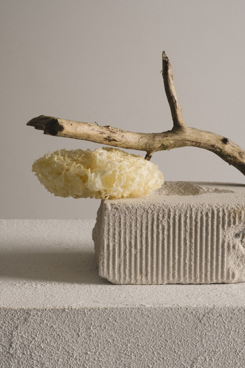 Kate Lee Still Flowing C41magazine Photography 3