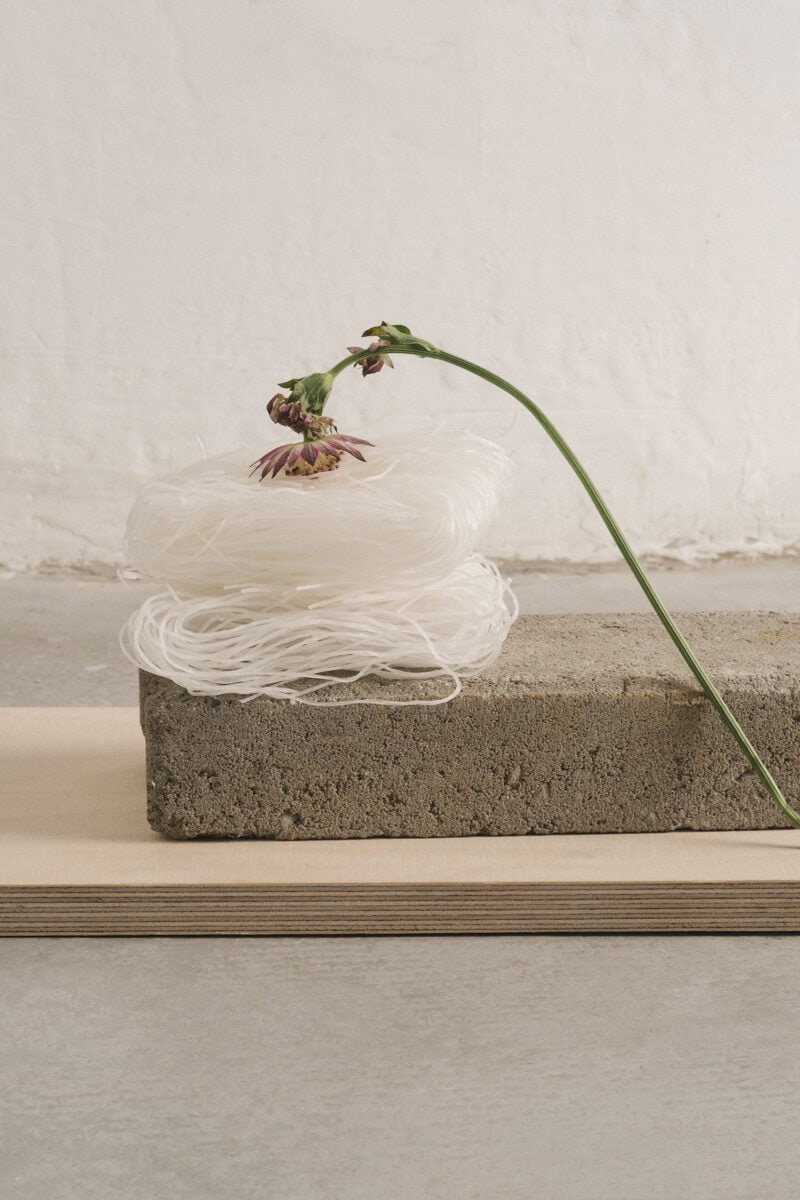 Kate Lee Still Flowing C41magazine Photography 6