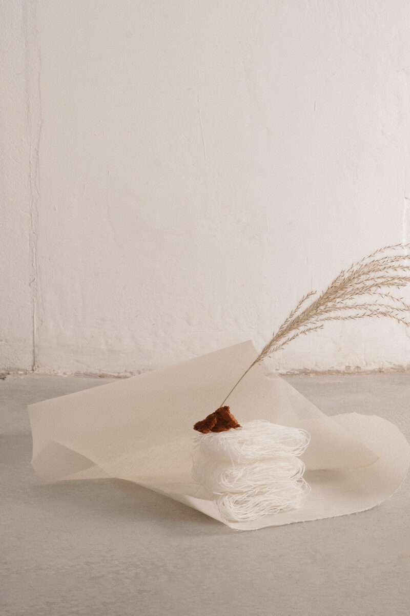 Kate Lee Still Flowing C41magazine Photography 8