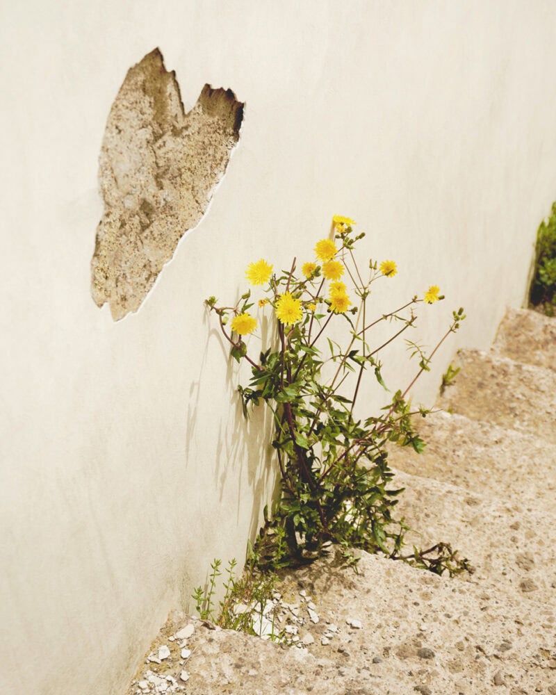Sara Meinz Where Water Once Was C41magazine Photography 6