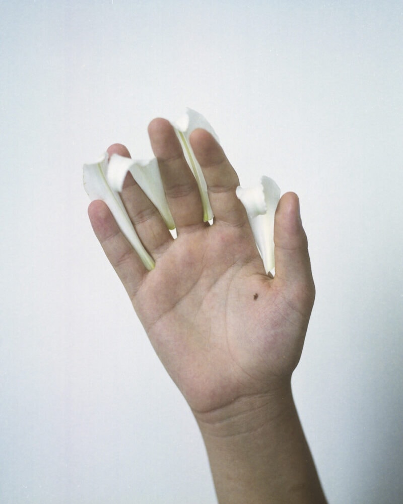 Carmen Colombo Futuro Anteriore C41magazine Photography 10