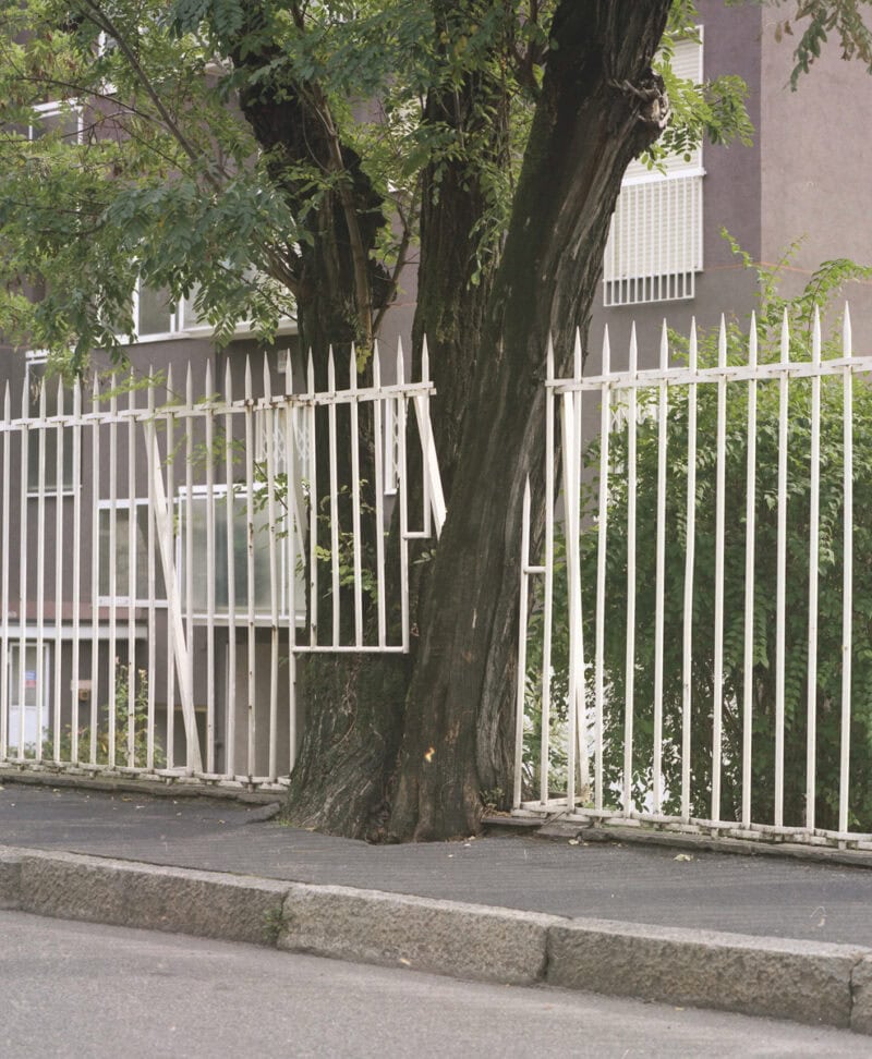 Carmen Colombo Futuro Anteriore C41magazine Photography 9