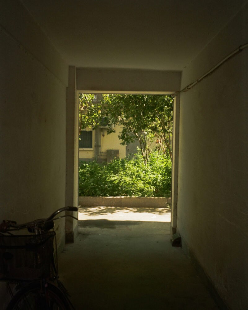 Jialin Yan Undercurrent C41magazine Photography 17