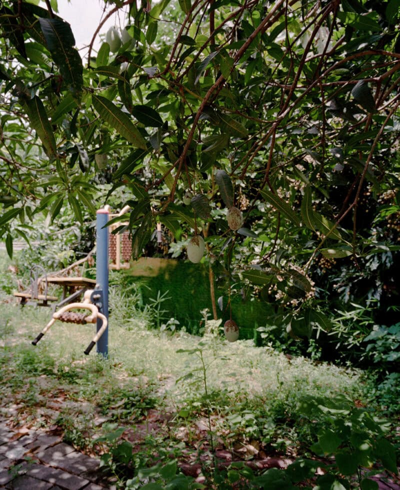 Jialin Yan Undercurrent C41magazine Photography 26