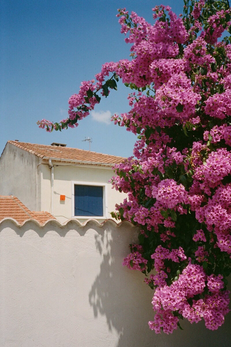 Nick Prideaux Twenty Twenty C41magazine Photography 12