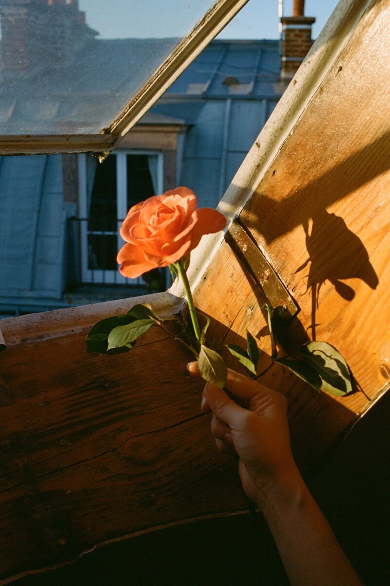 Nick Prideaux Twenty Twenty C41magazine Photography 9