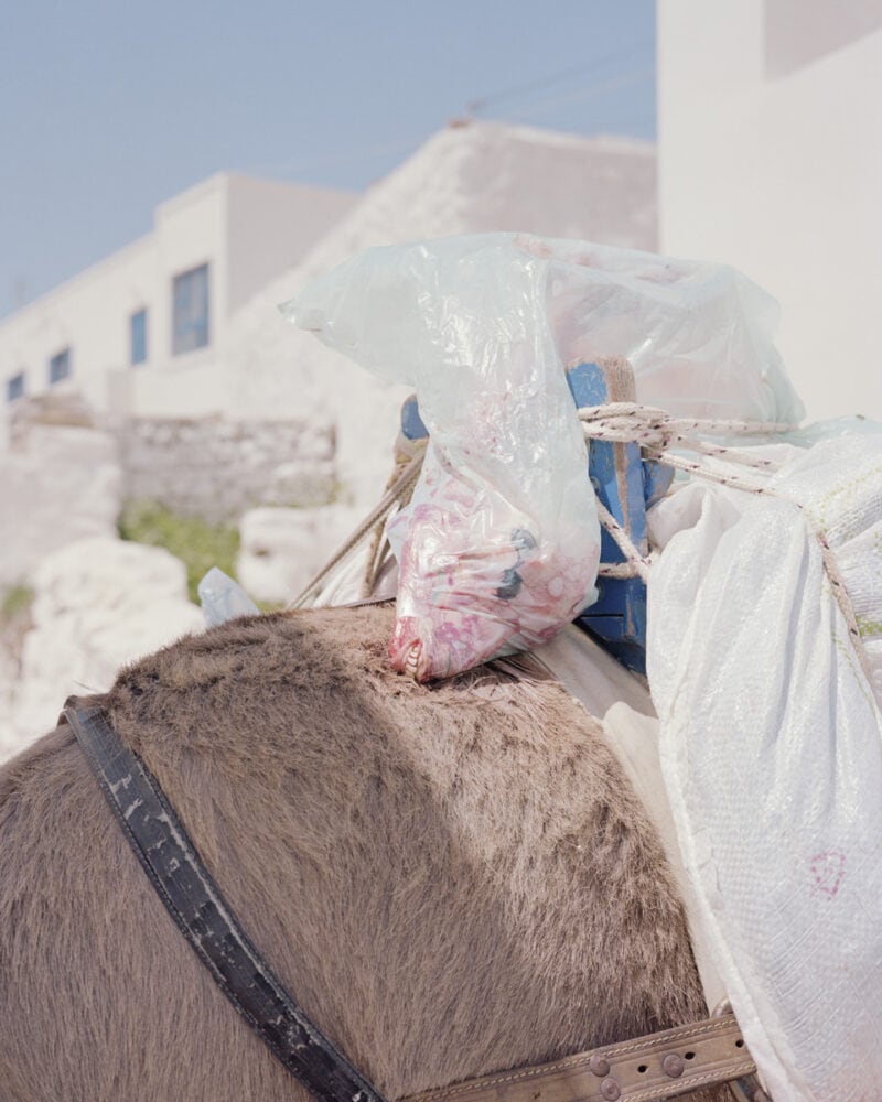 Clément Chapillon Les Rochers Fauves C41magazine Photography 17