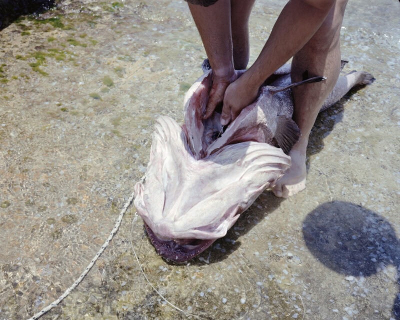 Clément Chapillon Les Rochers Fauves C41magazine Photography 27