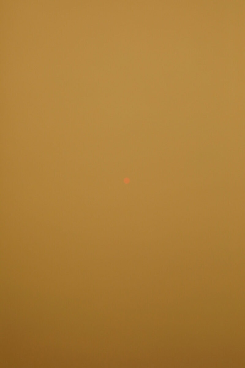 Fire Season (sun)