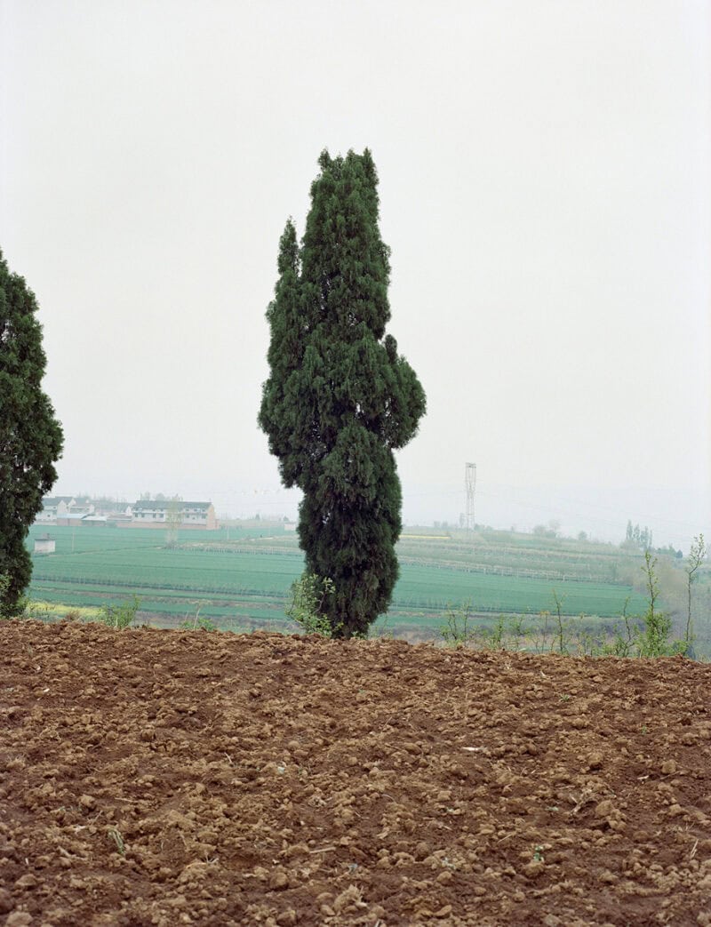 Leslie Shang Zhefeng CypressSlope C41magazine Photography 1