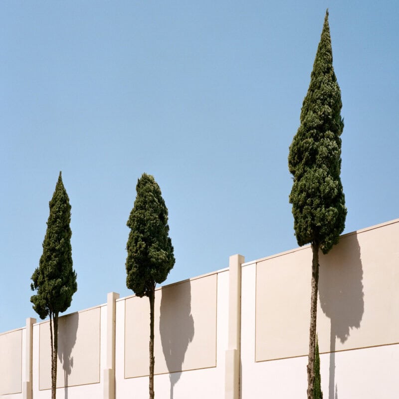 Sinziana Velicescu A Tree Grows In.. C41magazine Photography 16