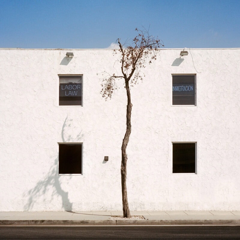 Sinziana Velicescu A Tree Grows In.. C41magazine Photography 2