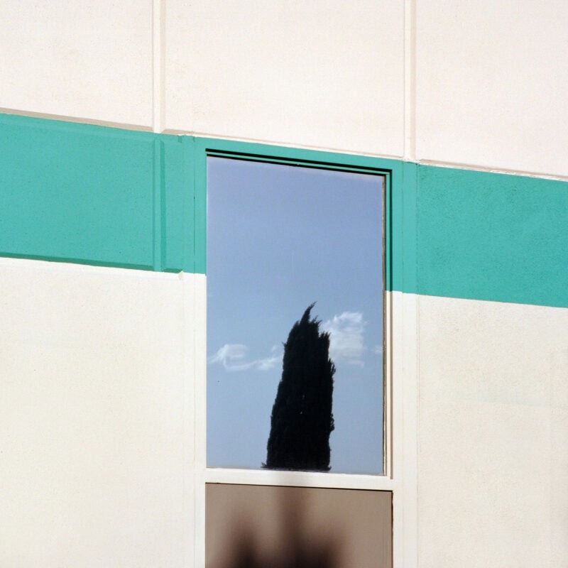 Sinziana Velicescu A Tree Grows In.. C41magazine Photography 7