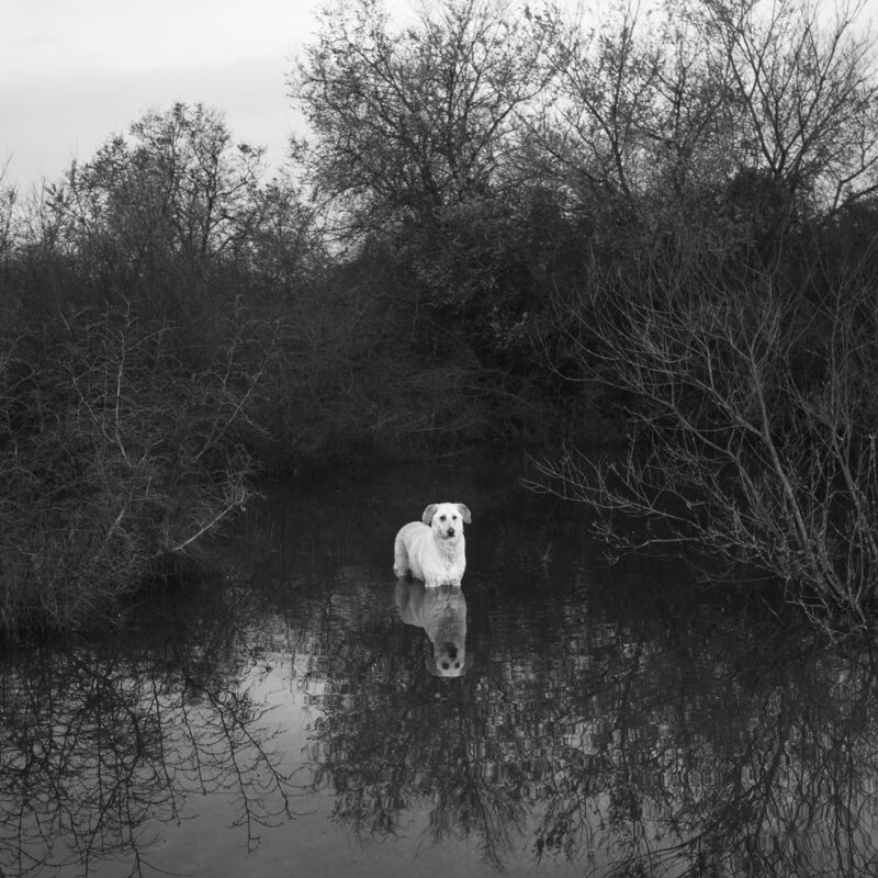 Alexandra Riba  If This Is The End Of The World..I’d Better Hide Here For Tonight C41magazine Photography 12