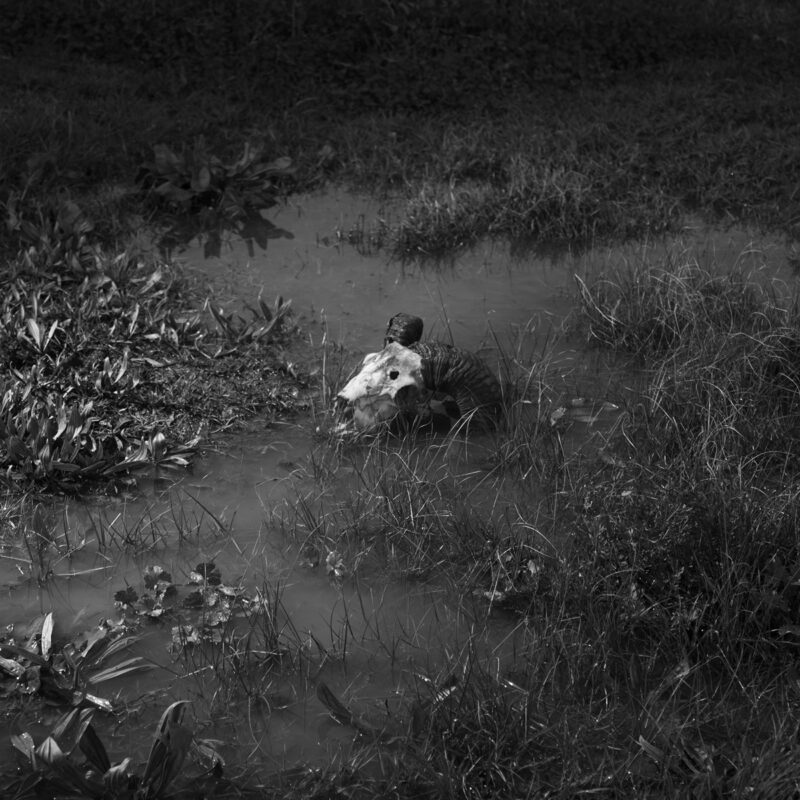 Alexandra Riba  If This Is The End Of The World..I’d Better Hide Here For Tonight C41magazine Photography 13