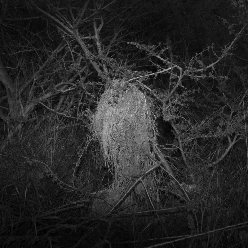 Alexandra Riba  If This Is The End Of The World..I’d Better Hide Here For Tonight C41magazine Photography 8