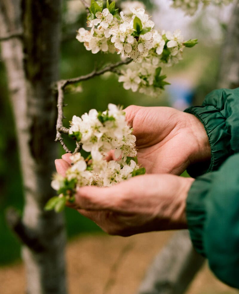 Alice Martin We’re So Lucky To Have This Place, Aren’t We? C41magazine Photography 6